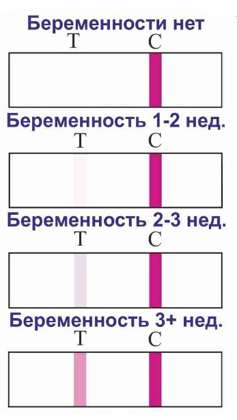 Можно ли клубнику при беременности? Может ли утрожестан гарантировать благополучную. - бэби. ру
