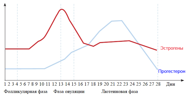Прогестерон и его влияние на кожу Прогестерон и его влияние на кожу