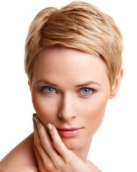 Korotkie Strizhki 2014