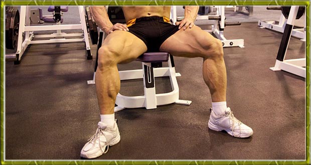 Спорт. как накачать ноги в домашних условиях
