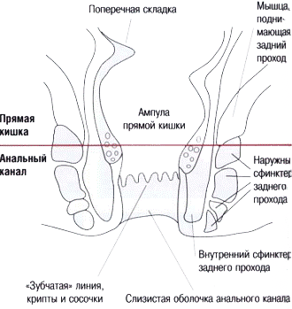 Опастность Анального Секса