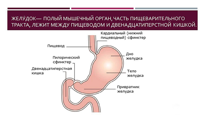 После Анального Секса Болит