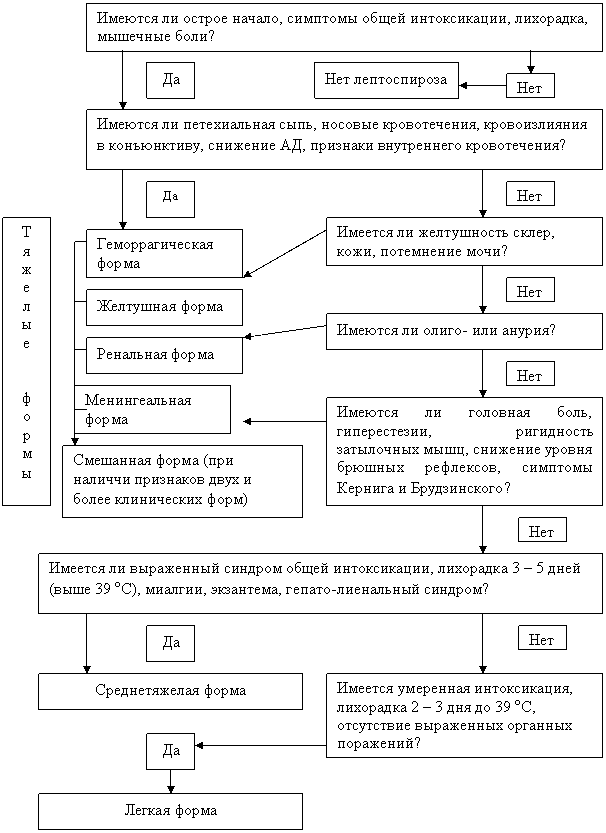 Алгоритмы при инфекционных заболеваниях