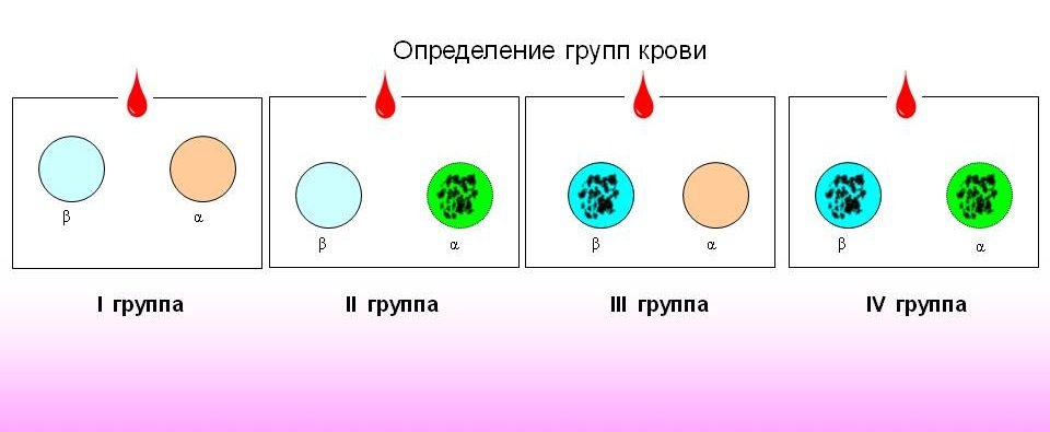 Группа крови экспресс
