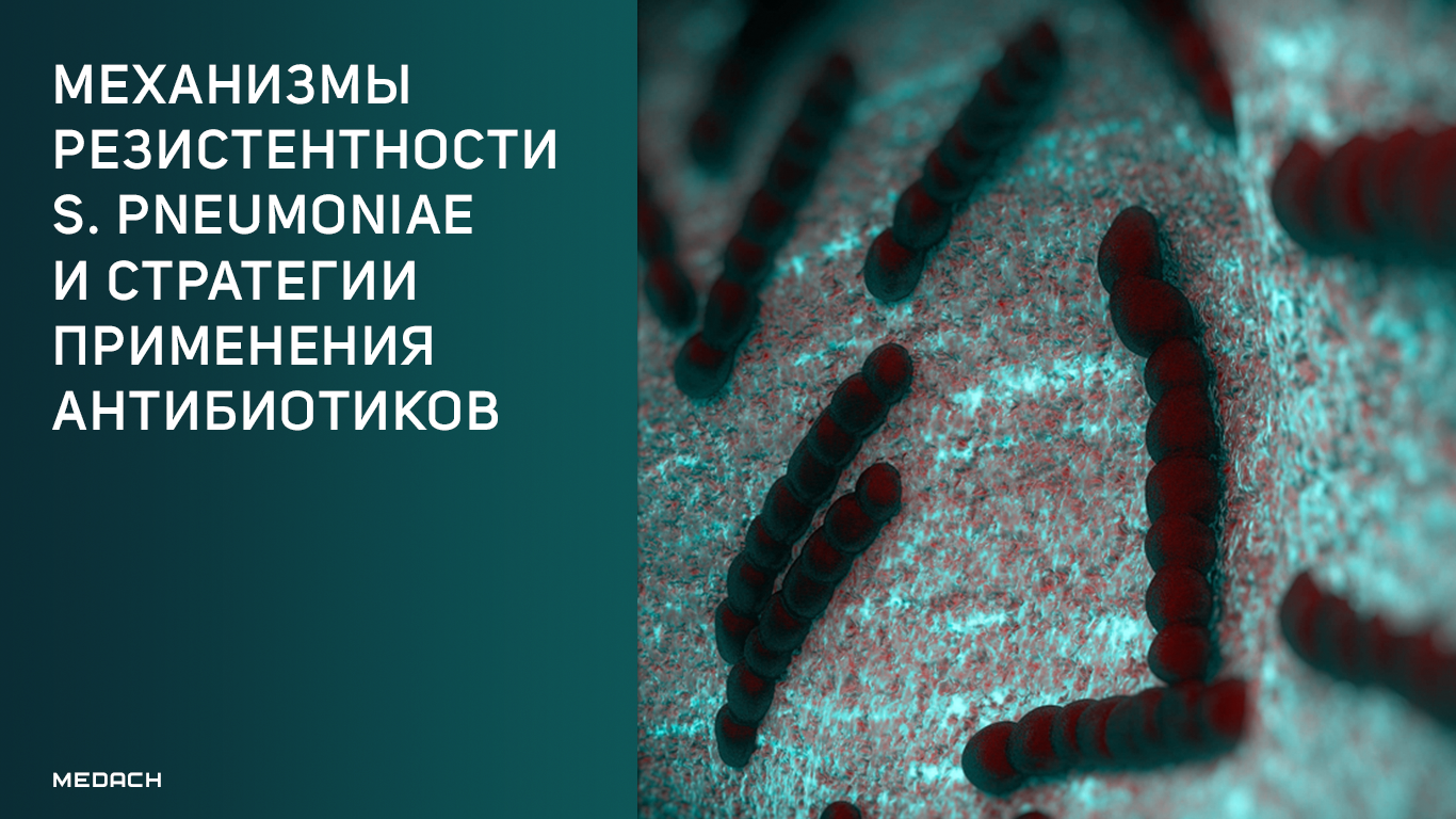 Механизмы резистентности пневмококка. Streptococcus pneumoniae (пневмококк). Резистентность пневмококков. Механизмы устойчивости бактерий.