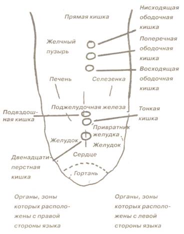 Определение болезней по языку человека в картинках