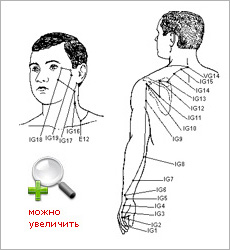 Где у человека яремная впадина