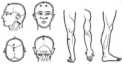 Точки рис. Тормозной точечный массаж. Акупрессура точечный массаж при опущении матки. Точки повышающие давление на теле человека. Техника проведения точечного массажа тормозной вариант.
