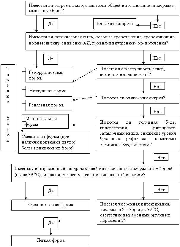 Алгоритм инфекционным заболеваниям. Лептоспироз патогенез схема. Клинические формы лептоспироза. На какие формы делится тяжелая форма лептоспироза.