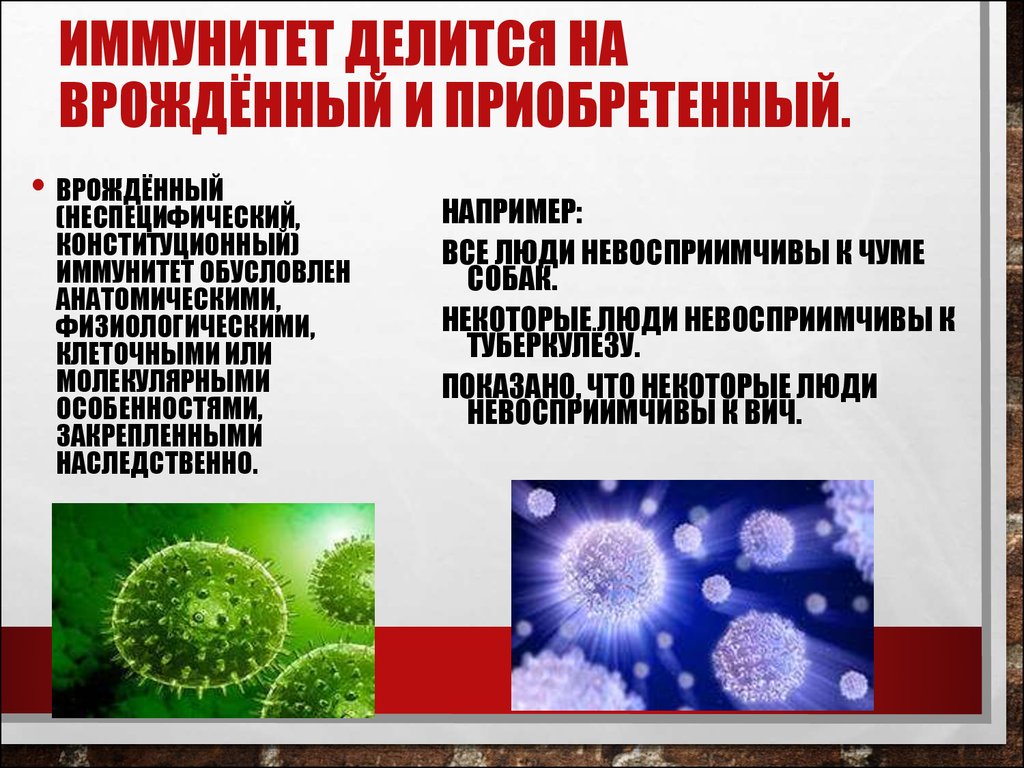 Иммунитет презентация. Иммунитет человека. Презентация на тему иммунитет. Иммунитет человека презентация. Иммунитет врожденный и приобретенный презентация.