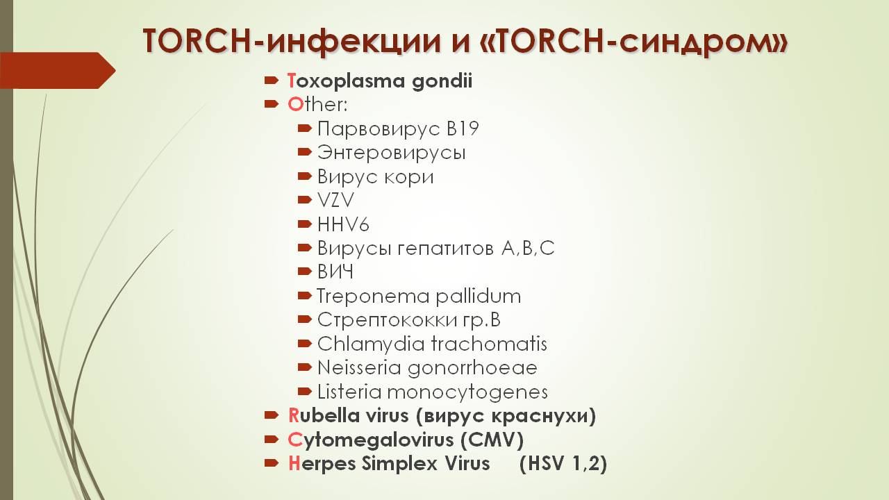 Торч инфекции презентация