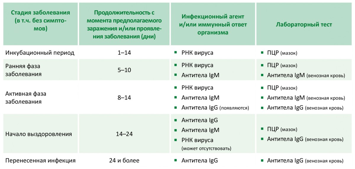 Антитела надо ли делать прививку. IGM антитела к коронавирусу показатели. IGG антитела к коронавирусу значения. Количество антител к коронавирусу показатели таблица. Количество антител IGG.