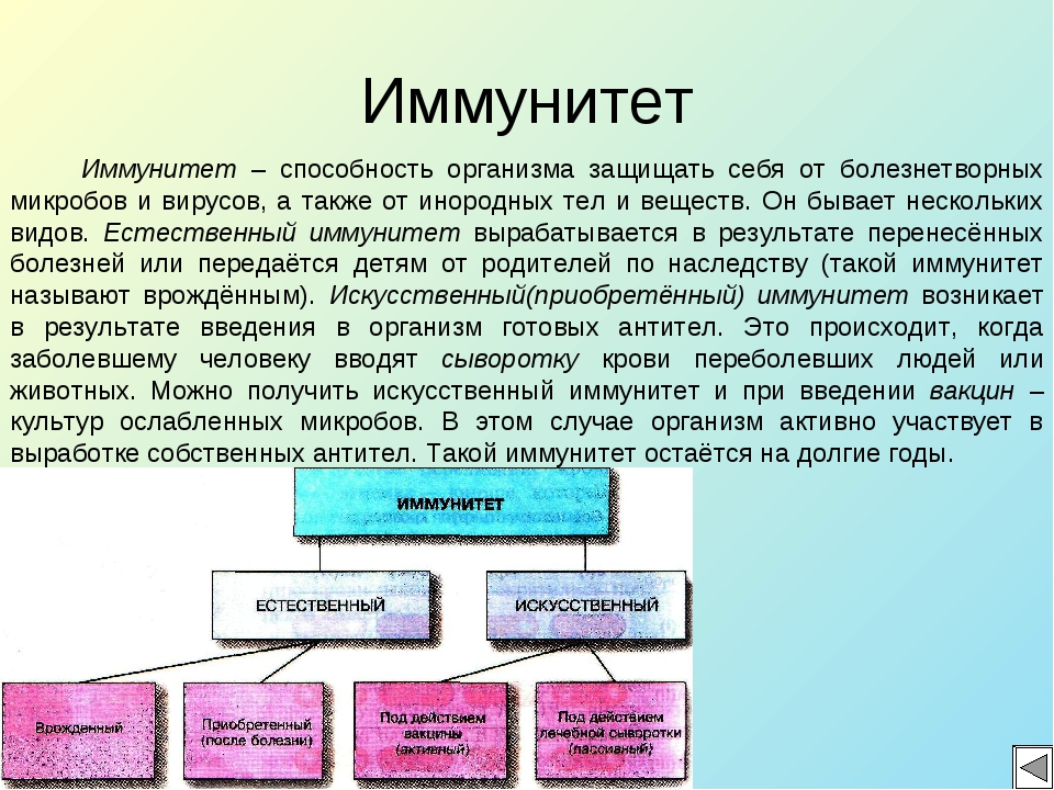 Проект по биологии 8 класс на тему иммунитет