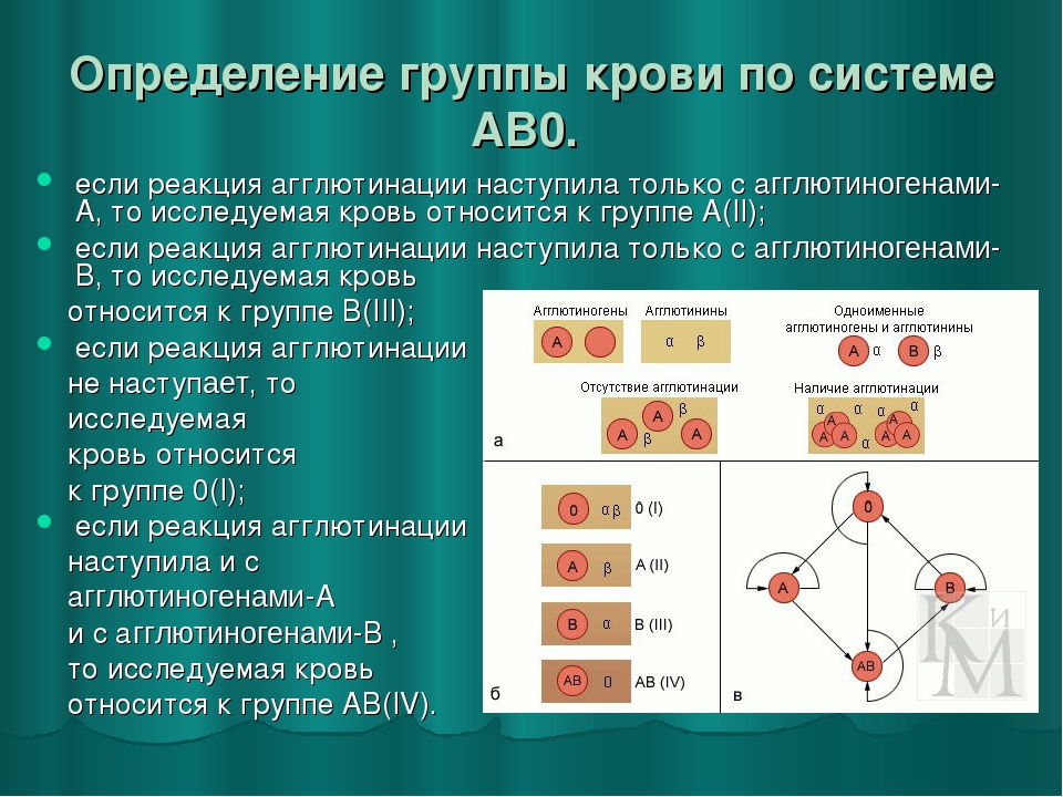Малые группы крови. Наследование групп крови системы ав0. Методики определения групп крови по системе ав0. Реакция агглютинации резус фактор. Как определить 0 группу крови.