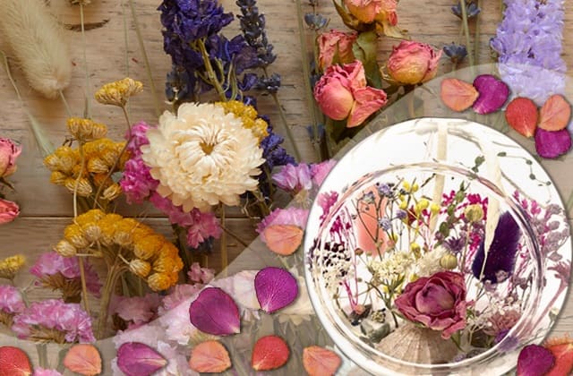 Флористика для начинающих. Как сохранить засушенные цветы. Сухоцветы для флористики. Как высушить цветы с сохранением цвета. Сухие розы декор.