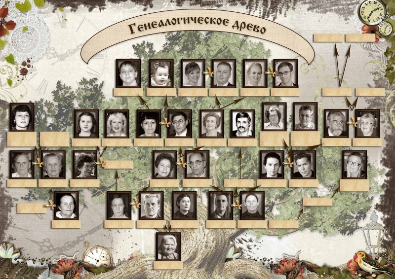 Как правильно оформить древо семьи фото и образец