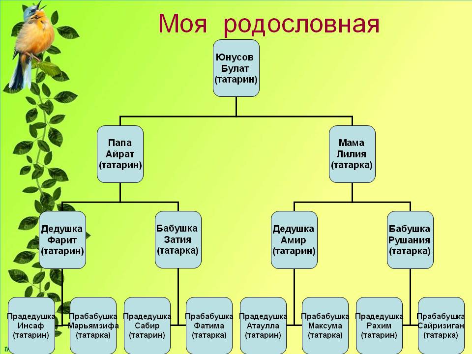 Семейное древо 2 класс окружающий мир образец картинка