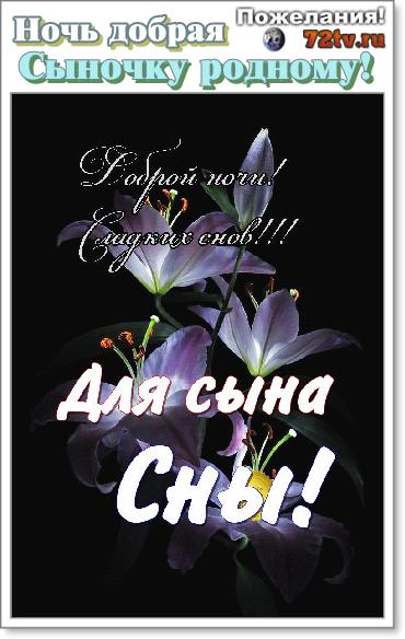 Картинки ОТКРЫТКИ СПОКОЙНОЙ НОЧИ СЫН