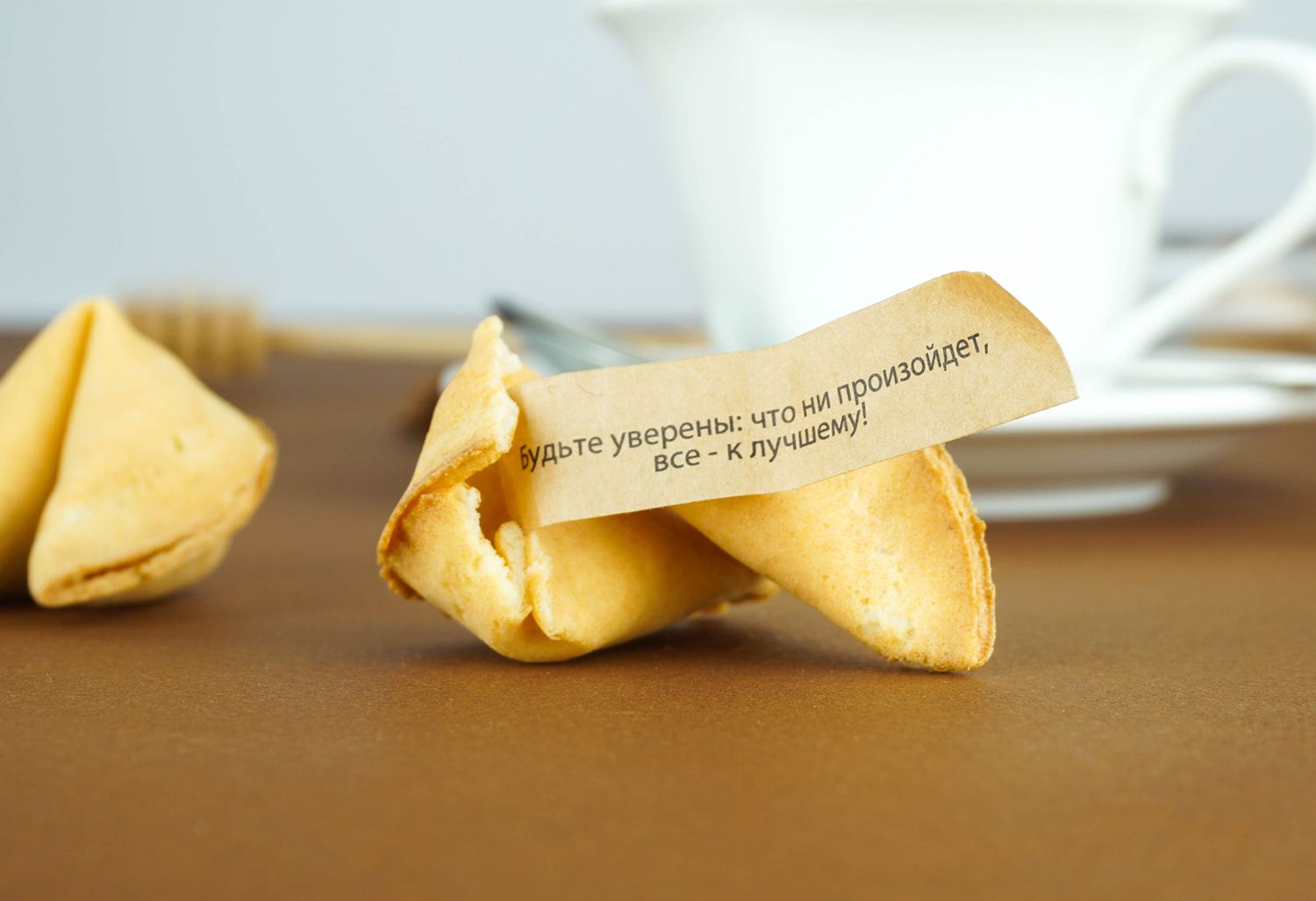 Печенье С Предсказаниями Купить