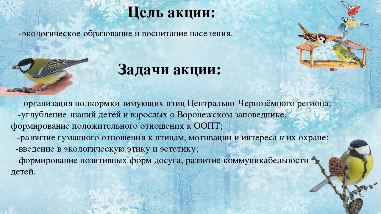 Акция покорми птиц в доу. Акция Покормите птиц зимой. Экологическая акция Покормите птиц зимой. Акция Покорми птиц зимой. Экологическая акция Покорми птиц зимой.