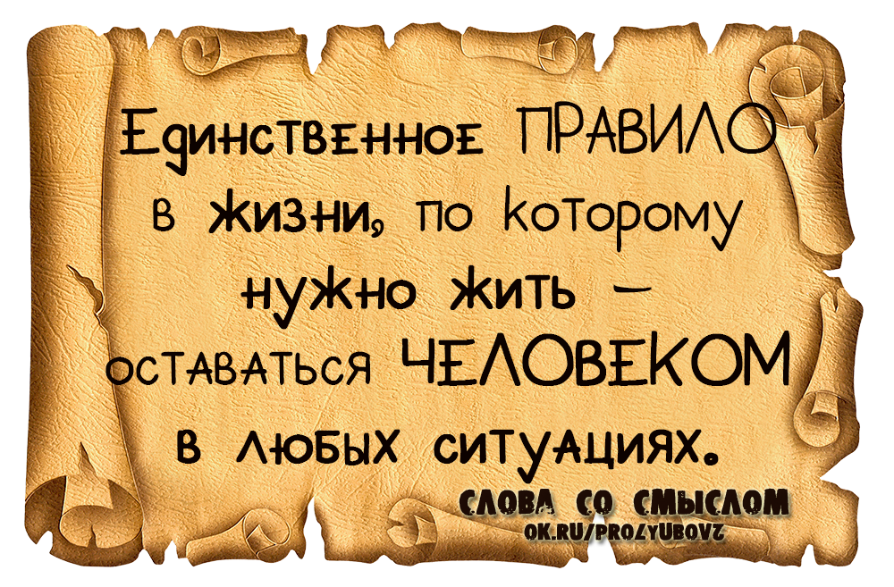 Умные афоризмы умных людей. Мудрые высказывания. Цитаты со смыслом. Умные мысли цитаты. Мудрые изречения.