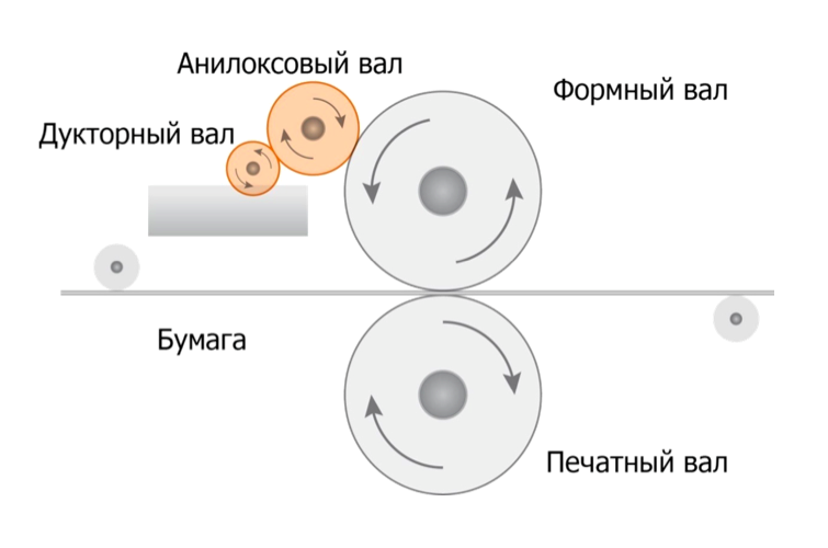 Флексографическая печать схема