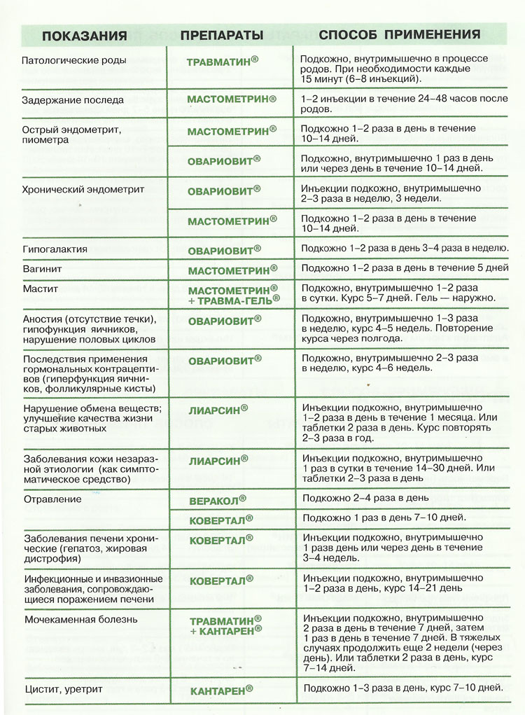 Лечение болезней препаратами. Болезни кошек симптомы таблица. Таблица заболеваний и лекарств. Болезни кошек симптомы таблица инфекции. Болезни кошек препараты таблица.