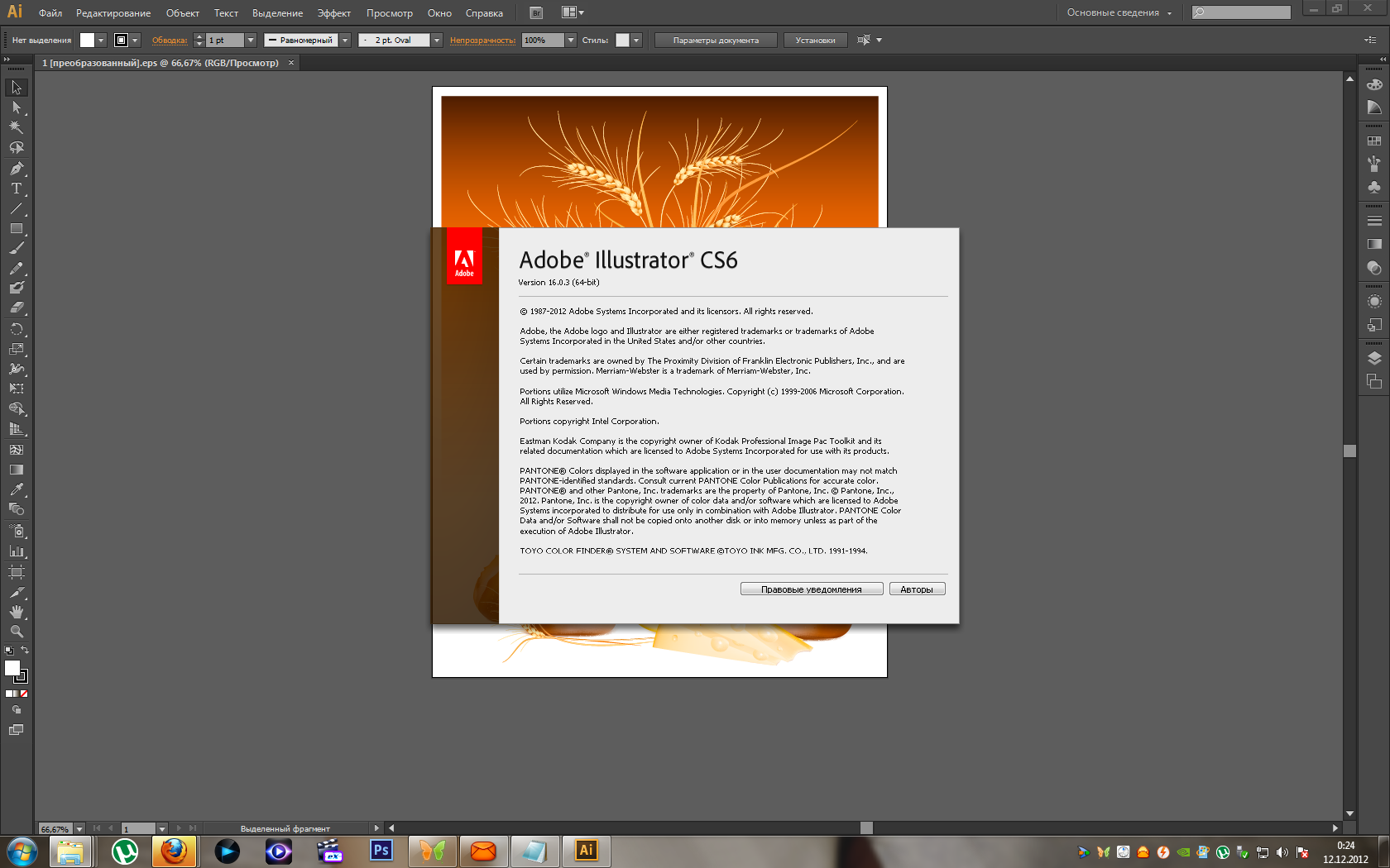 Adobe rus