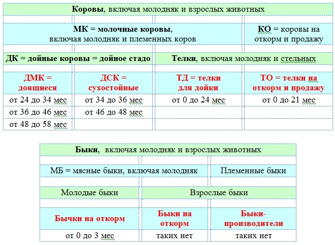 Бизнес крс молочного направления план для начинающего фермера