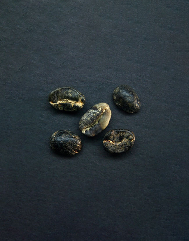 Дефектное зерно. Дефекты кофейного зерна. Дефекты в кофе в зернах. Дефекты пшеницы. Дефекты зеленого кофе.