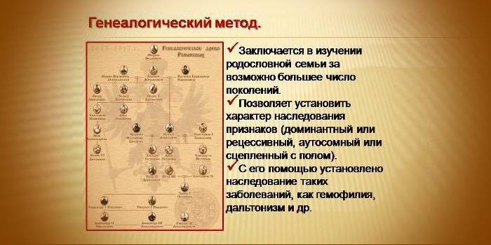 Недостаток генеалогического метода. Метод изучения родословной. Генеалогический метод. Генеалогический метод исследования. Методика генеалогического исследования.