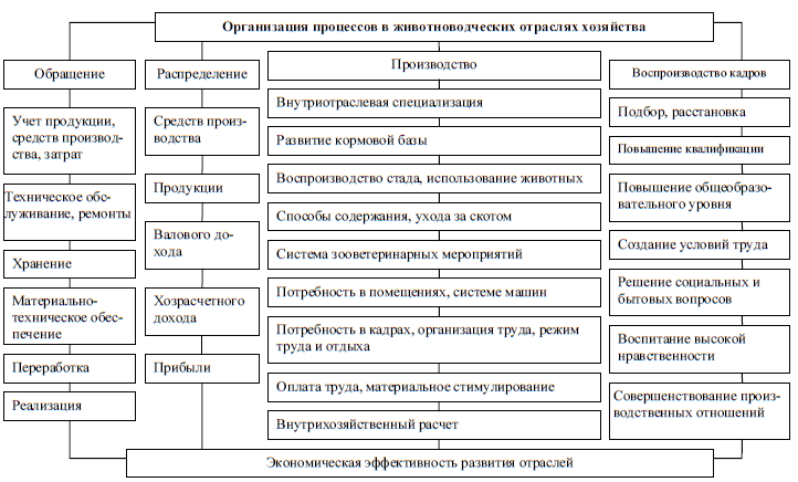 Дополните схему классификации животноводства представленную на рисунке 81