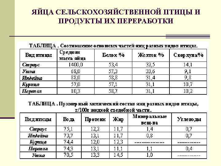 Таблица яиц. Яйцо характеристика продукта. Показатели яичной продуктивности птицы. Физико химические показатели яиц. Показатели яичной продуктивности сельскохозяйственной птицы.