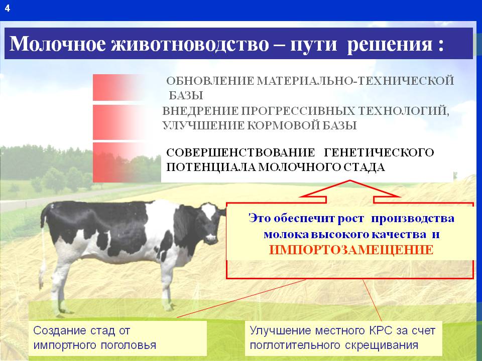 Развитие сельскохозяйственных животных. Совершенствование производства молока. Отрасли животноводства. Скотоводство схема. Схема животноводческого хозяйства.