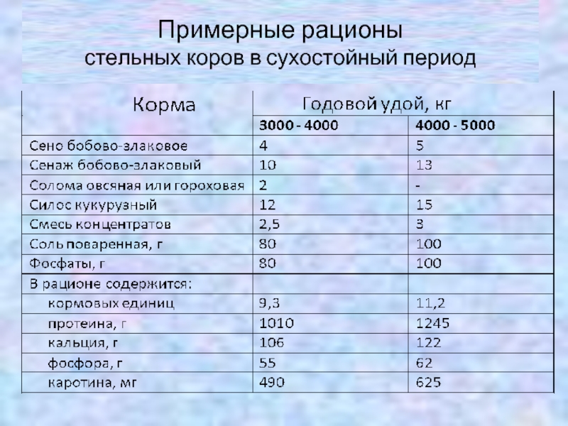 Структура рациона коров