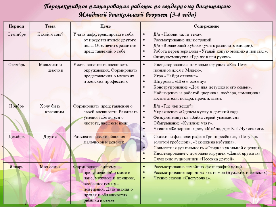 Проект в старшей группе в летний период