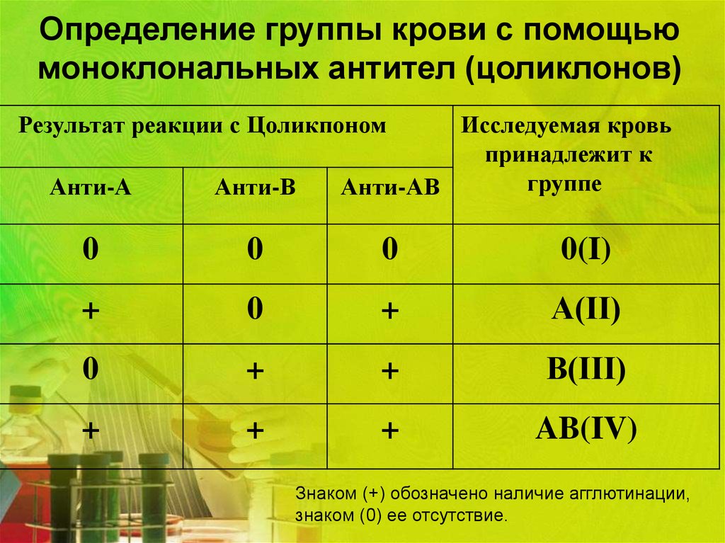 Определение группы крови и резус фактора цоликлонами алгоритм и картинки