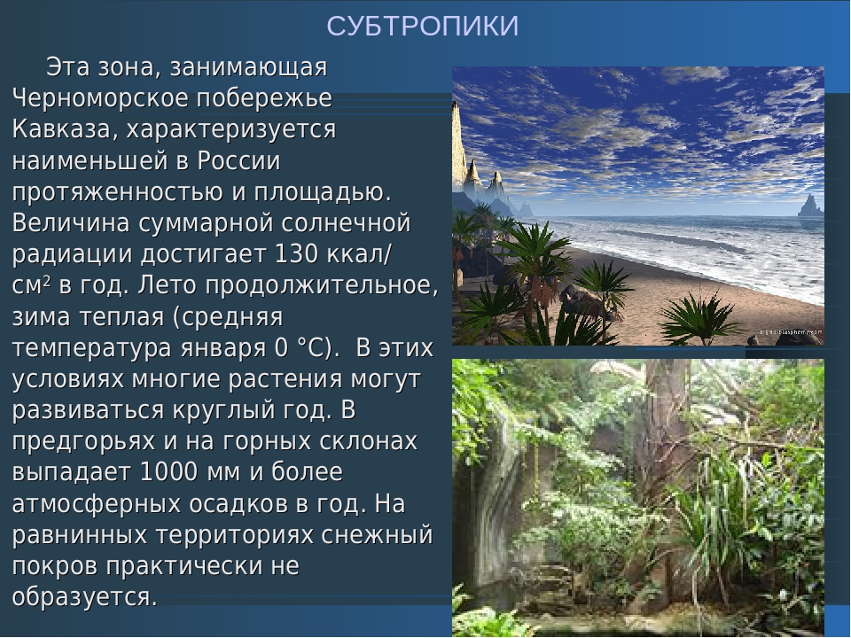 Тропики это география 5 класс. Субтропики Черноморского побережья Кавказа. Влажные субтропики Черноморское море. Климат субтропиков Черноморского побережья. Субтропики природная зона.