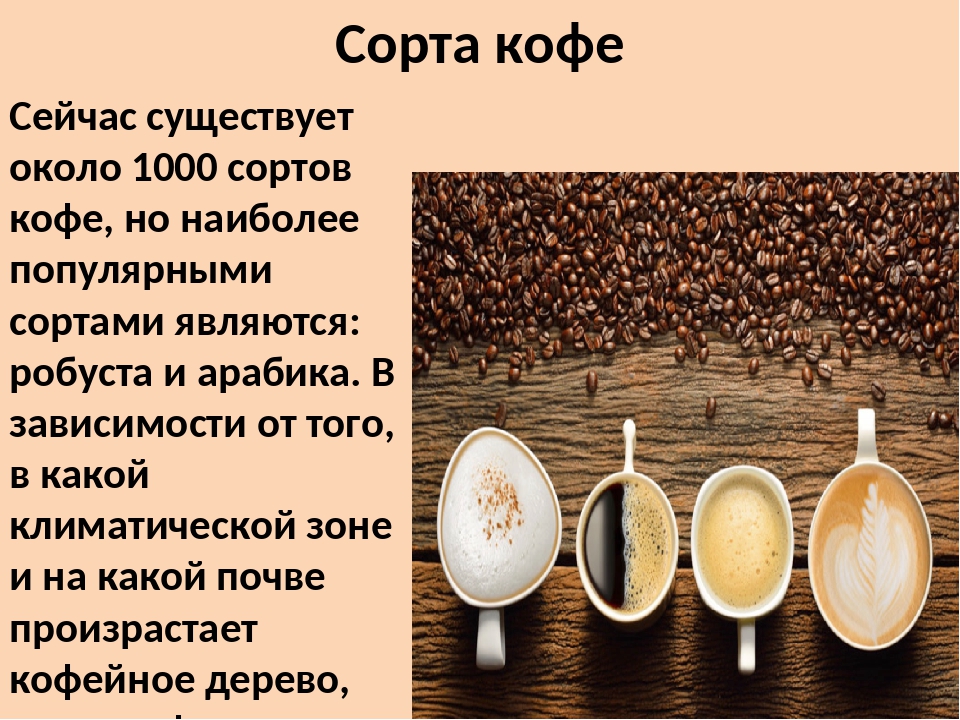 Кофе Сорта И Виды Фото С Названием