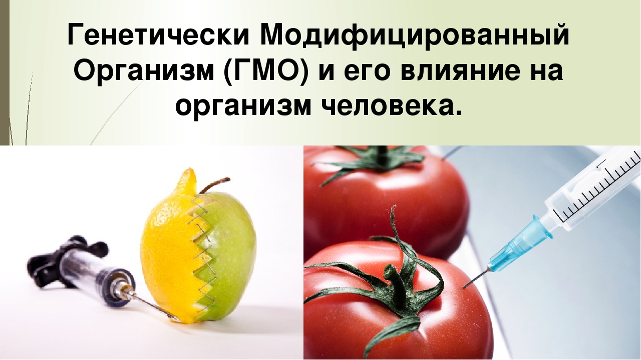 Влияние гмо на организмы. ГМО генная инженерия. Генномодифицированные организмы. Влияние ГМО на организм человека. Генномодифицированные продукты и организмы.