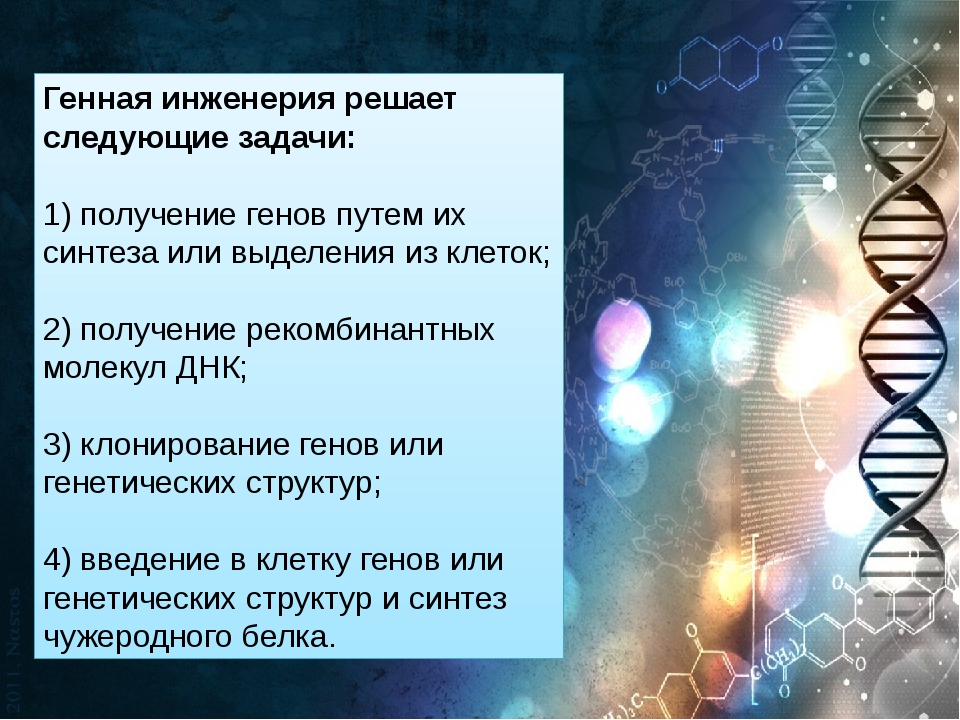 Генетика и генная инженерия презентация 8 класс технология