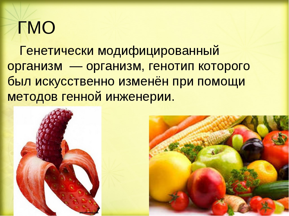 Гмо расшифровка. Генномодифицированные организмы. ГМО продукты. Генетически модифицированные организмы. Генномодифицированные продукты.