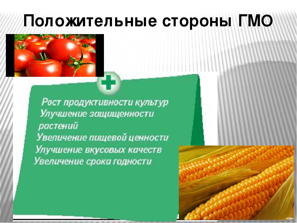 Проект генно модифицированные продукты