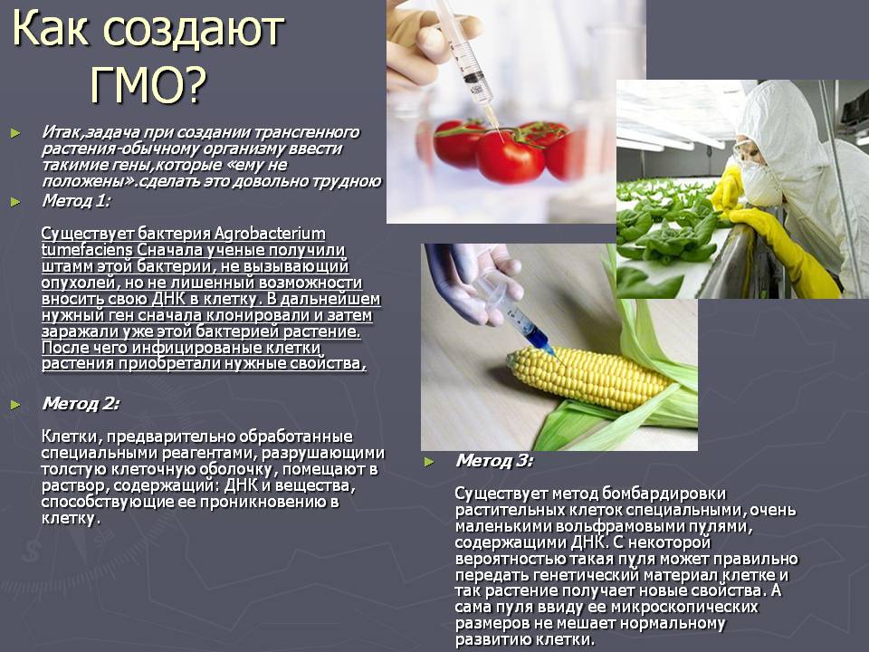 Гмо доклад. ГМО генная инженерия. Генетически модифицированные продукты. Генномодифицированные организмы. ГМО презентация.