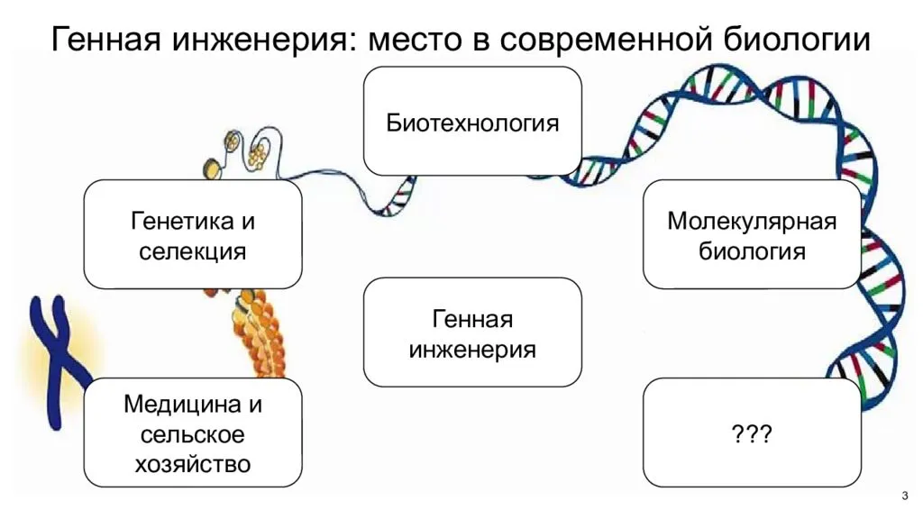 Генная инженерия это в биологии