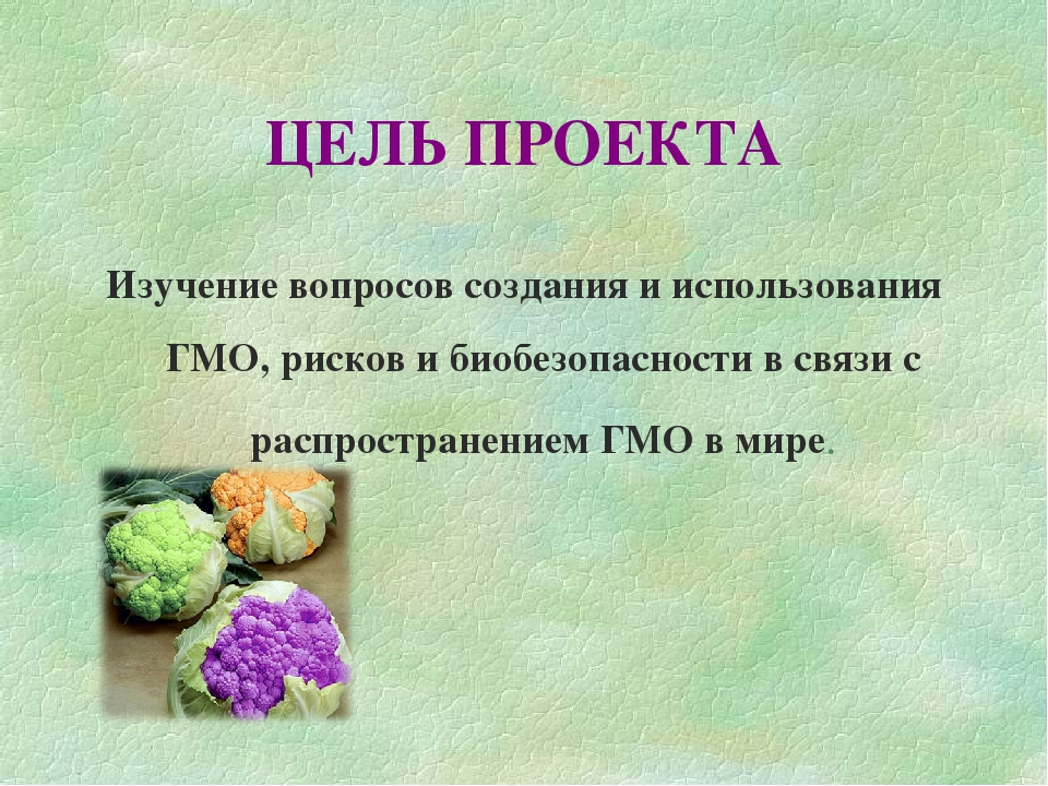 Цель гмо. Проект на тему ГМО. Генномодифицированные организмы. Актуальность проекта ГМО. Актуальность темы ГМО.