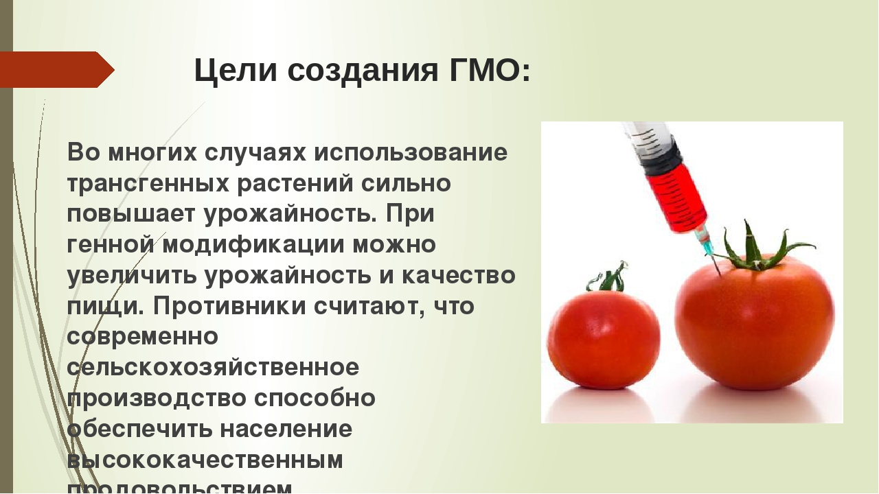 Как переводится гмо. Генномодифицированные организмы. Цели создания ГМО. Презентация на тему ГМО. Генно-модифицированные продукты.