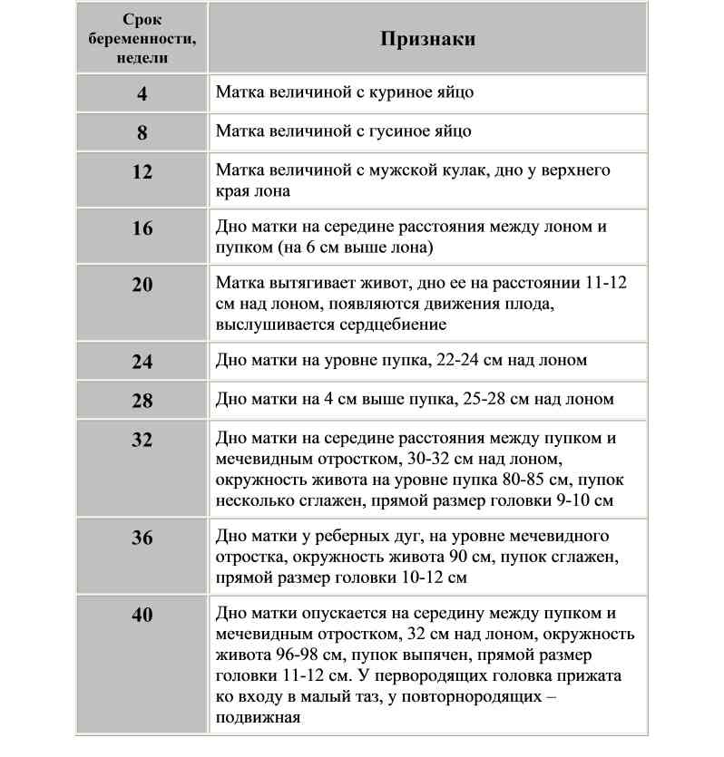 Беременность 12 недель маточные артерии норма