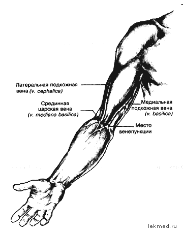 Медиальная и латеральная подкожные