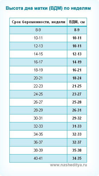 Высота стояния дна матки по неделям таблица при беременности норма. Высота дна матки по неделям беременности таблица норма. Высота дна матки по неделям беременности таблица. Высота дна матки на 28 неделе беременности норма.